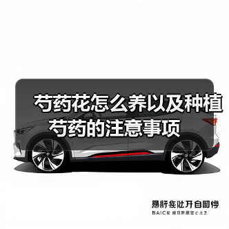 芍药花怎么养以及种植芍药的注意事项(图2) 芍药花怎么养以及种植芍药的注意事项(图2)
