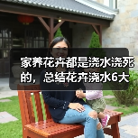 家养花卉都是浇水浇死的,总结花卉浇水6大要点方法(图2) 家养花卉都是浇水浇死的,总结花卉浇水6大要点方法(图2)