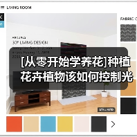 [从零开始学养花]种植花卉植物该如何控制光照（图1）