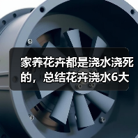 家养花卉都是浇水浇死的,总结花卉浇水6大要点方法(图3) 家养花卉都是浇水浇死的,总结花卉浇水6大要点方法(图3)