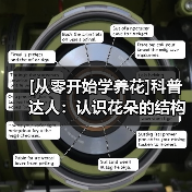 [从零开始学养花]科普达人：认识花朵的结构（图2）