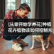 [从零开始学养花]种植花卉植物该如何控制光照（图3）