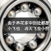 由于养花家中到处都是小飞虫,消灭飞虫小窍门有哪些(图4) 由于养花家中到处都是小飞虫,消灭飞虫小窍门有哪些(图4)