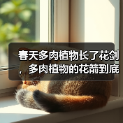 春天多肉植物长了花剑,多肉植物的花箭到底要不要剪?(图4) 春天多肉植物长了花剑,多肉植物的花箭到底要不要剪?(图4)