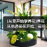 [从零开始学养花]养花从挑选买花开始，买花的7个要点原则总结（图2）