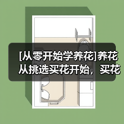 [从零开始学养花]养花从挑选买花开始，买花的7个要点原则总结（图4）
