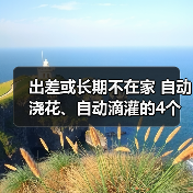 出差或长期不在家 自动浇花、自动滴灌的4个妙招(图2) 出差或长期不在家 自动浇花、自动滴灌的4个妙招(图2)