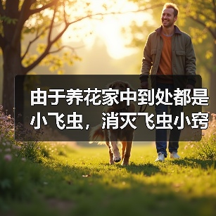 由于养花家中到处都是小飞虫,消灭飞虫小窍门有哪些(图3) 由于养花家中到处都是小飞虫,消灭飞虫小窍门有哪些(图3)