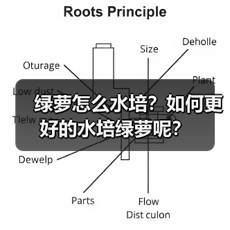 绿萝怎么水培?如何更好的水培绿萝呢?(图3) 绿萝怎么水培?如何更好的水培绿萝呢?(图3)