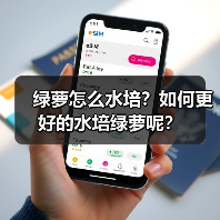 绿萝怎么水培?如何更好的水培绿萝呢?(图2) 绿萝怎么水培?如何更好的水培绿萝呢?(图2)