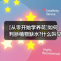 [从零开始学养花]如何判断植物缺水?什么叫见干见湿?三分钟学会浇花方法（图1）