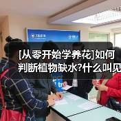 [从零开始学养花]如何判断植物缺水?什么叫见干见湿?三分钟学会浇花方法（图2）
