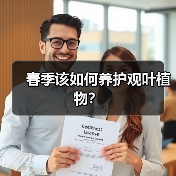 春季该如何养护观叶植物？（图4）
