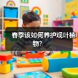 春季该如何养护观叶植物？（图3）