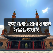 寥寥几句谈如何才能养好盆栽玫瑰花(图2) 寥寥几句谈如何才能养好盆栽玫瑰花(图2)