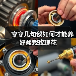 寥寥几句谈如何才能养好盆栽玫瑰花(图4) 寥寥几句谈如何才能养好盆栽玫瑰花(图4)