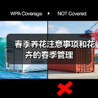 春季养花注意事项和花卉的春季管理（图4）
