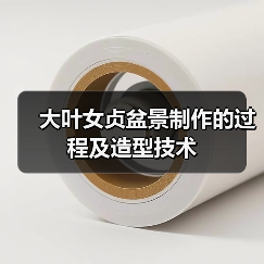 大叶女贞盆景制作的过程及造型技术(图4) 大叶女贞盆景制作的过程及造型技术(图4)