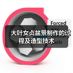 大叶女贞盆景制作的过程及造型技术(图1) 大叶女贞盆景制作的过程及造型技术(图1)