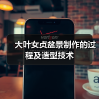 大叶女贞盆景制作的过程及造型技术(图2) 大叶女贞盆景制作的过程及造型技术(图2)