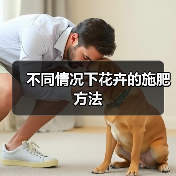 不同情况下花卉的施肥方法(图1) 不同情况下花卉的施肥方法(图1)
