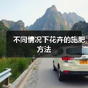 不同情况下花卉的施肥方法(图2) 不同情况下花卉的施肥方法(图2)