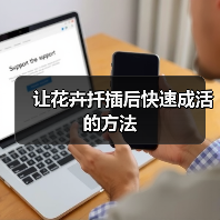 让花卉扦插后快速成活的方法(图1) 让花卉扦插后快速成活的方法(图1)