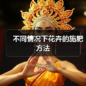 不同情况下花卉的施肥方法(图3) 不同情况下花卉的施肥方法(图3)