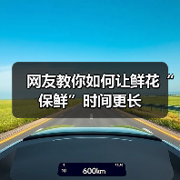 网友教你如何让鲜花“保鲜”时间更长（图3）