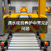 滴水观音养护中常见的问题（图1）