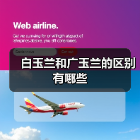 白玉兰和广玉兰的区别有哪些(图4) 白玉兰和广玉兰的区别有哪些(图4)