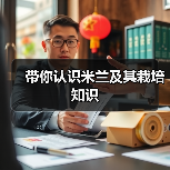 带你认识米兰及其栽培知识(图2) 带你认识米兰及其栽培知识(图2)