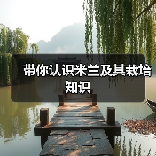 带你认识米兰及其栽培知识(图3) 带你认识米兰及其栽培知识(图3)