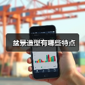 盆景造型有哪些特点(图2) 盆景造型有哪些特点(图2)