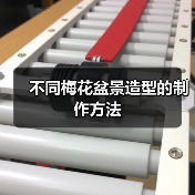 不同梅花盆景造型的制作方法（图2）
