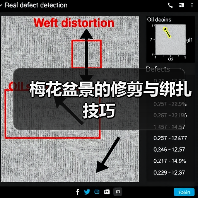梅花盆景的修剪与绑扎技巧（图3）