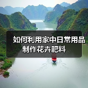 如何利用家中日常用品制作花卉肥料(图4) 如何利用家中日常用品制作花卉肥料(图4)