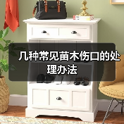 几种常见苗木伤口的处理办法（图1）