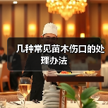 几种常见苗木伤口的处理办法（图2）