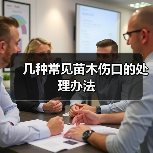 几种常见苗木伤口的处理办法（图4）