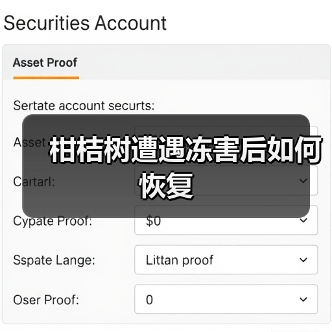 柑桔树遭遇冻害后如何恢复(图4) 柑桔树遭遇冻害后如何恢复(图4)