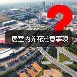 居室内养花注意事项(图2) 居室内养花注意事项(图2)