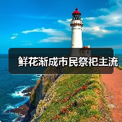 鲜花渐成市民祭祀主流（图4）