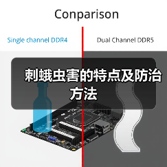 刺蛾虫害的特点及防治方法(图4) 刺蛾虫害的特点及防治方法(图4)