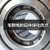 毛刺槐的园林绿化优点(图4) 毛刺槐的园林绿化优点(图4)