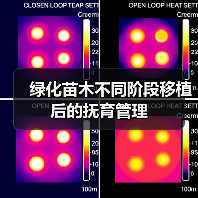 绿化苗木不同阶段移植后的抚育管理(图2) 绿化苗木不同阶段移植后的抚育管理(图2)