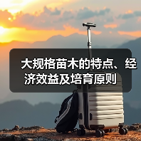 大规格苗木的特点、经济效益及培育原则(图2) 大规格苗木的特点、经济效益及培育原则(图2)