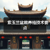紫玉兰盆栽养殖技术要点(图2) 紫玉兰盆栽养殖技术要点(图2)