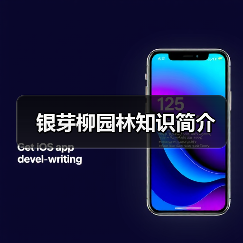 银芽柳园林知识简介(图4) 银芽柳园林知识简介(图4)