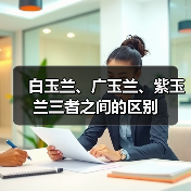 白玉兰、广玉兰、紫玉兰三者之间的区别(图3) 白玉兰、广玉兰、紫玉兰三者之间的区别(图3)